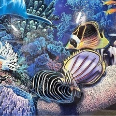 Christian Riese クリスチャン ラッセン 「ミラクル オブ ライフ」 RC 92/450 直筆サイン マリンアートの画像