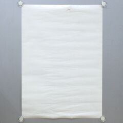 裏面に書込みあり 仮面天使ロゼッタ B2ポスター DVD BOX 発売告知 店頭掲示ポスター 吉井怜 がんばれ!!あすか 札幌市 清田区 平岡の画像