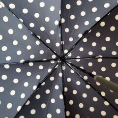 晴雨兼用　レディース　長傘　中古の画像
