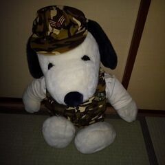 決まってしまいました。スヌｰピｰのぬいぐるみ🐻