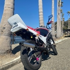 【カスタム多数】VTZ250 前期型 CBR400F仕様 【45馬力】の画像