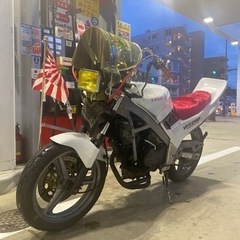 【カスタム多数】VTZ250 前期型 CBR400F仕様 【45馬力】の画像