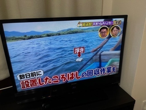 テレビ　三菱電機REAL 24インチ(録画.DVD.BD閲覧化)