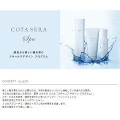 【決まりました】服5点とコタセラトリートメントの画像