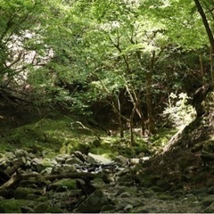 自然、山が好きな方