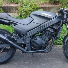 ZZR250　ネイキッド仕様　(1934)