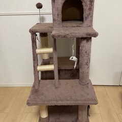 【お引き取り先決定】キャットタワーの画像