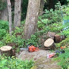 薪､自分で切って運搬できる人の画像