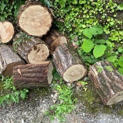 薪､自分で切って運搬できる人の画像