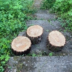 薪､自分で切って運搬できる人の画像