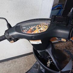 ライブディオZXの画像