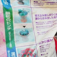 サフィニア培養土の画像