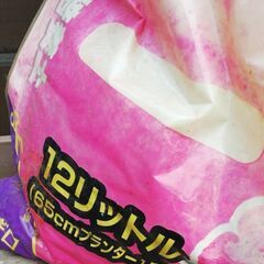 サフィニア培養土の画像