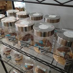 7/16(日)＊クワガタ＊直売中＊ロードプラザ倉敷＊船穂町＊玉島＊倉敷＊岡山の画像