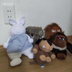 お話中　ぬいぐるみ5の画像