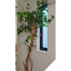 【終了】2m 観葉植物フェイクグリーン