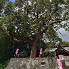 神社巡り⛩️ - 杵島郡