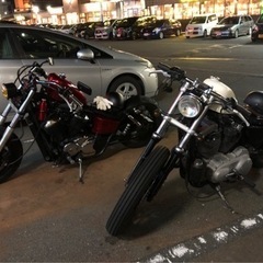 女生ライダー募集( ᐛ )