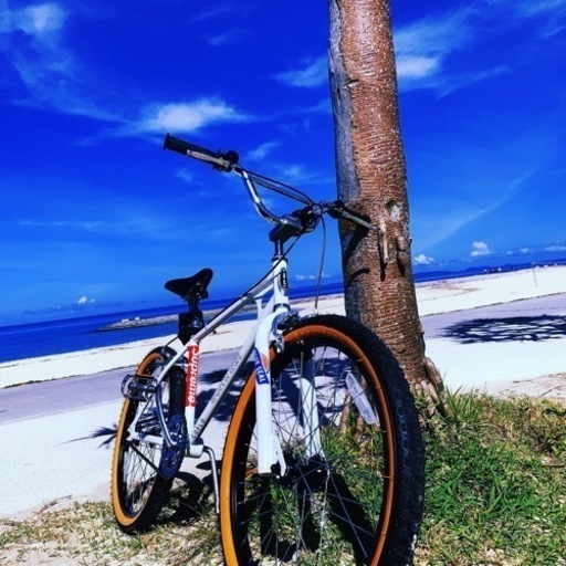 早い者勝ち！！SCHWINN シュウィン SX-1000 BMX クルーザー