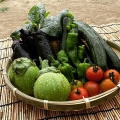 ［ただいま販売中］農薬不使用、化学肥料不使用のこだわり野菜販売(...