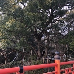年間テスト日程