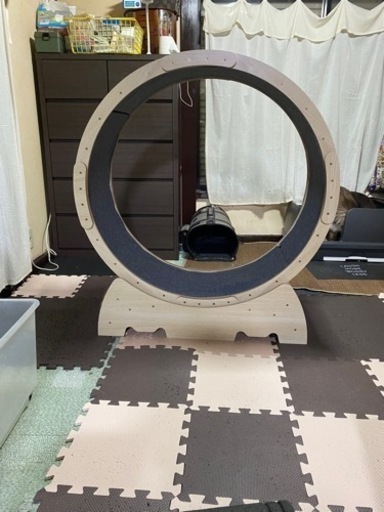 キャットホイール