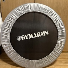 【８月末まで】トランポリン 102cm 家庭用大人用子供用 ダイエット エクササイズの画像