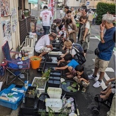 2024年7月13日(土)14日(日)