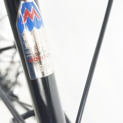 ALEX MOULTON 「アレックスモールトン」 TSR-9 SP 2010年モデル ミニベロの画像