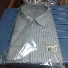 未着用シャツ　2着差し上げます