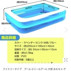 【交渉中】ビニールプール ブルー ファミリープール 特大プール 夏休みの画像