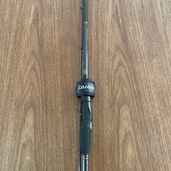 新品未使用品　交換も可　ダイワ(DAIWA) 船竿 インフィート...
