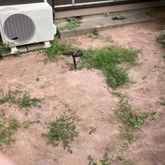 草むしりと除草剤散布してくださる業者さん