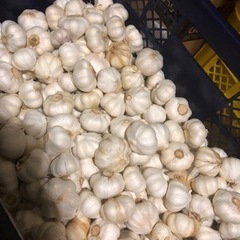 10件限定の無料サンプル提供中！　東広島市の飲食店様！　お手頃価格で新鮮な農産物をお届けします。の画像