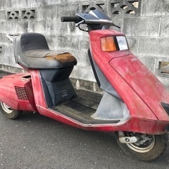 ホンダ ストリーム 3輪 の画像