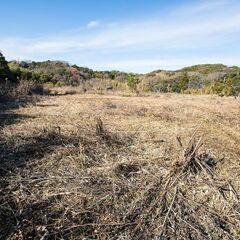 売地 7,800万円　富津湊字万所（18877m2（5710.29坪）） - 土地販売/土地売買