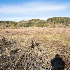 売地 7,800万円　富津湊字万所（18877m2（5710.29坪）） - 富津市