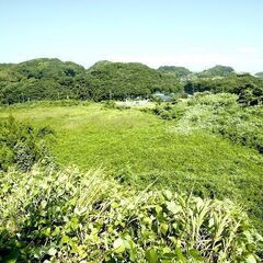売地 7,800万円　富津湊字万所（18877m2（5710.29坪）） − 千葉県