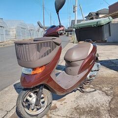 ホンダ　ディオチェスタ　HONDA　DioCesta　AF68　...