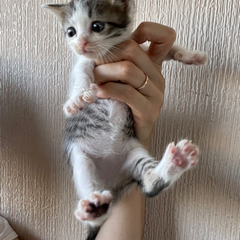 ありがとうございました無事に新しい家に行きました🩵