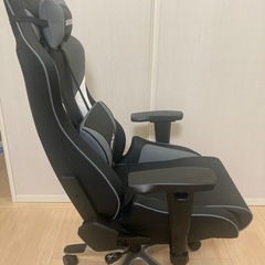 AK Racing Pro-X V2 Gaming Chair Grey