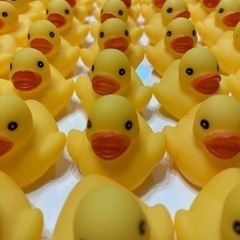 あひる　アヒル　すくい人形　70体