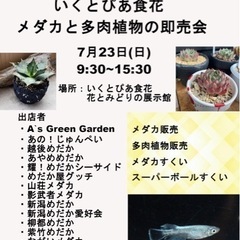 メダカの即売会