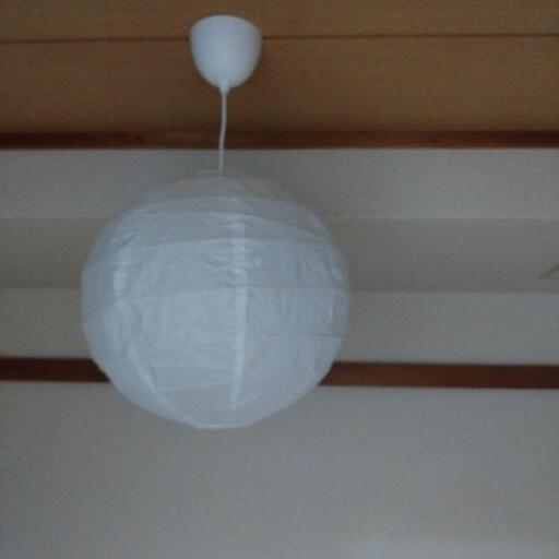和室の照明です