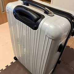 キャリーバッグの画像