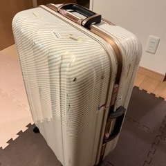 キャリーバッグの画像