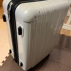 キャリーバッグの画像