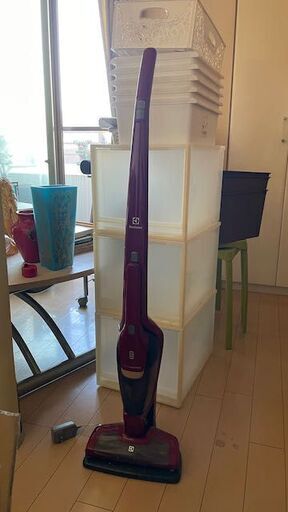 [23日まで]Electrolux エレクトロラックス コードレススティッククリーナーエルゴラピードリチウム