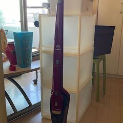[23日まで]Electrolux エレクトロラックス コードレ...