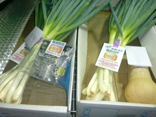深谷ネギ 20かキロ 限定価格❗️ - 野菜本物